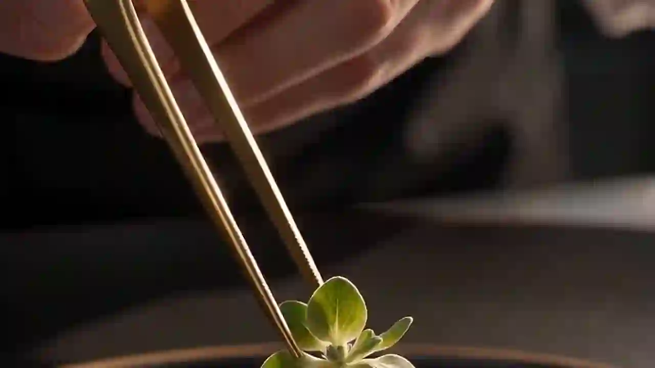 PRO guide: how to create your «Haute Cuisine & Gourmet-Plating»